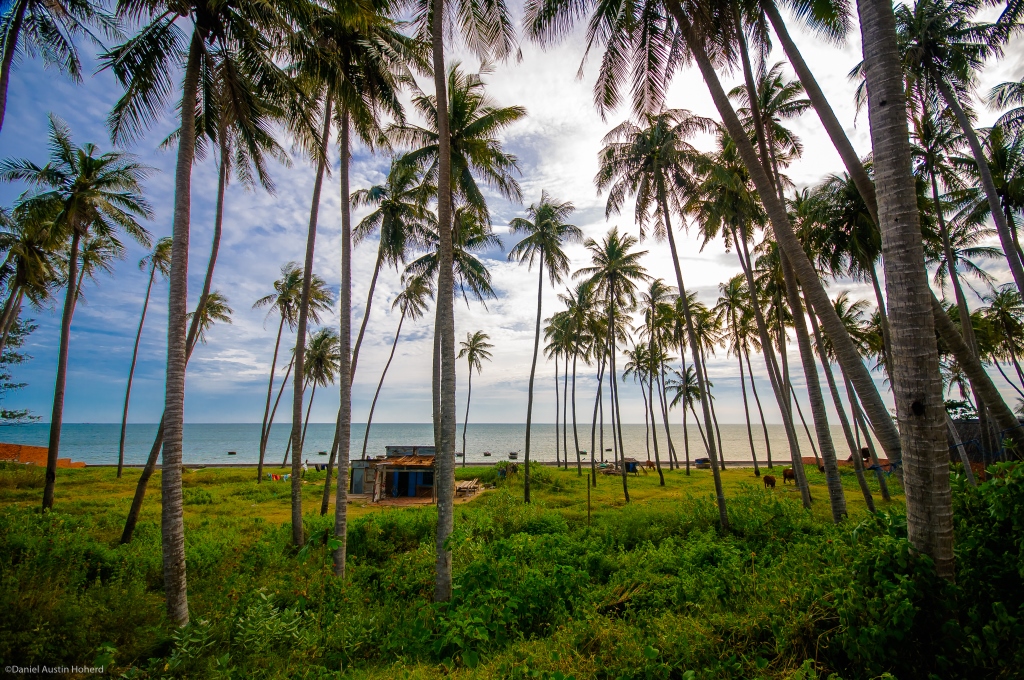 Bãi Rạng Mũi Né Phan Thiết